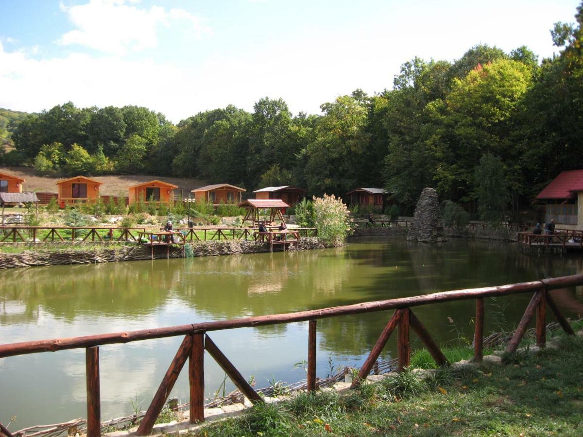 Complex Hamak Hotel Iasi Buitenkant foto